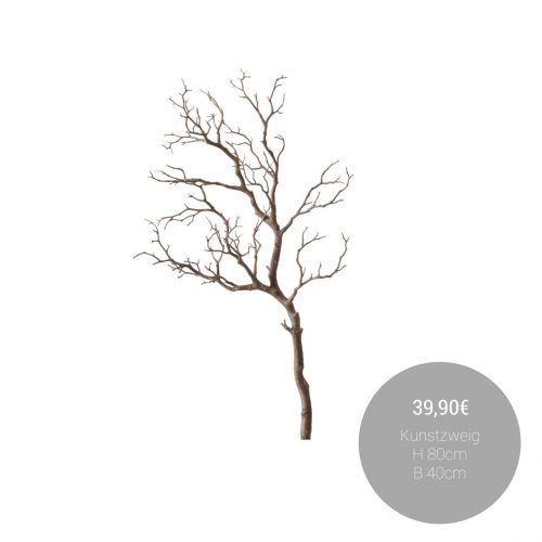 545495999_1333387338796993_4327676704126140920_n
