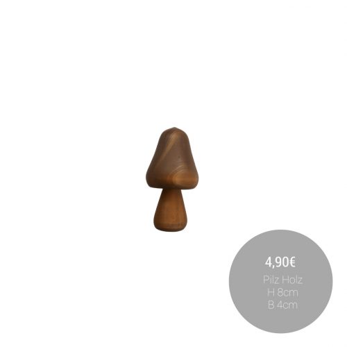 565796247_1372115964924130_8124819183861238692_n