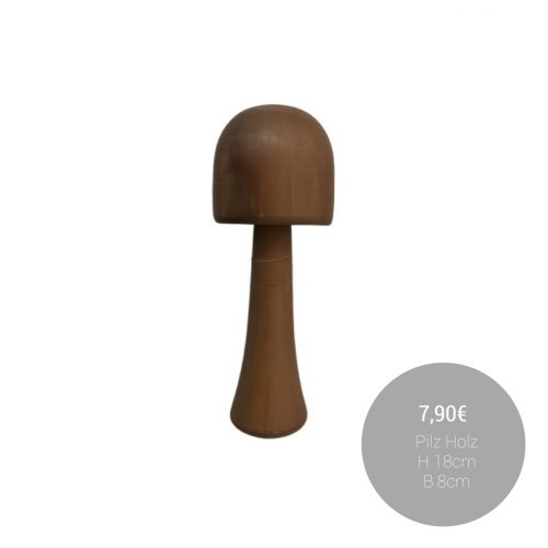 566220114_1372115801590813_1311852237747542253_n