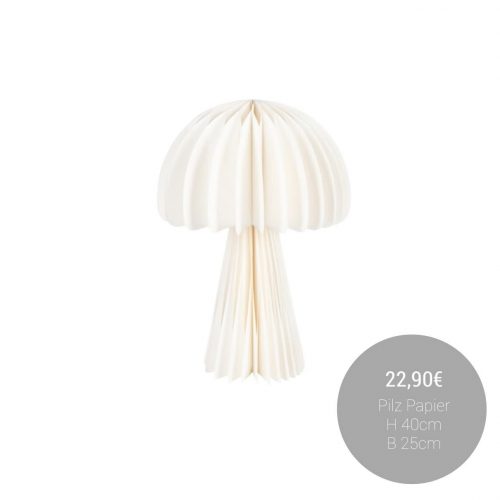 FB_IMG_1760361142028