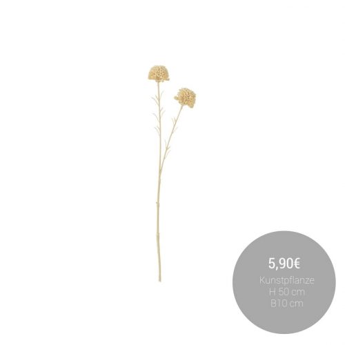 FB_IMG_1760361155832