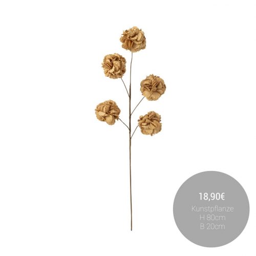 FB_IMG_1760361171239