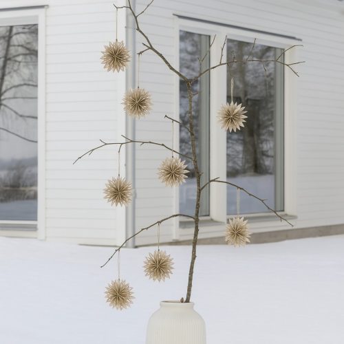 573354208_1385086933627033_1427267282156083296_n