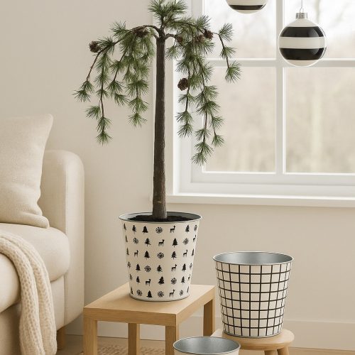 578846441_1391723682963358_3243310155399239031_n