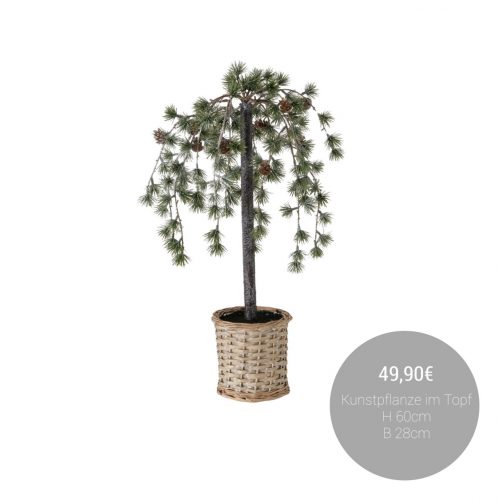 579907841_1391723772963349_251912591467886427_n