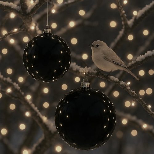 FB_IMG_1763413240170