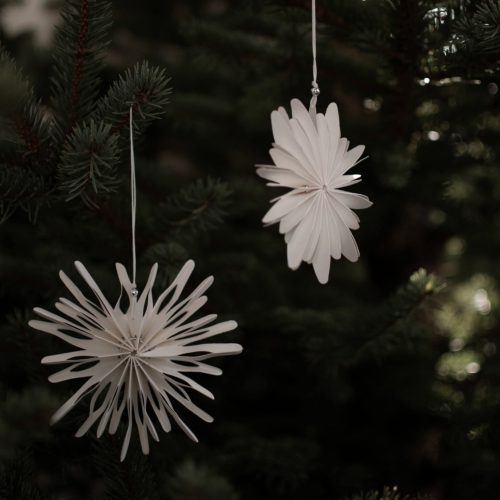 FB_IMG_1764018669236