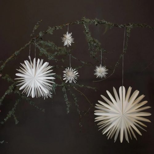 FB_IMG_1764018674609