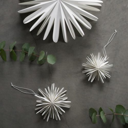 FB_IMG_1764018691007