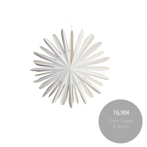 FB_IMG_1764018725528