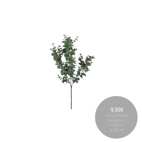 FB_IMG_1764018739444