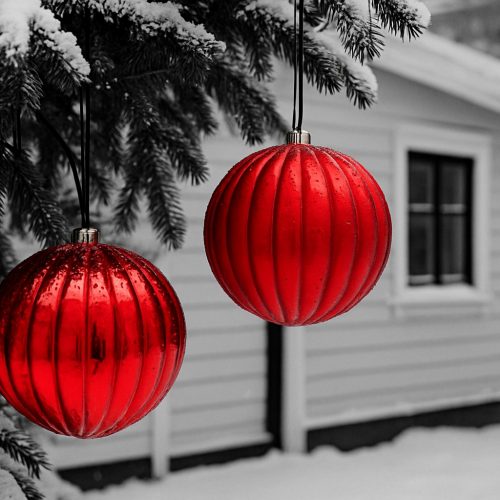 590813052_1409579274511132_673860772275313202_n