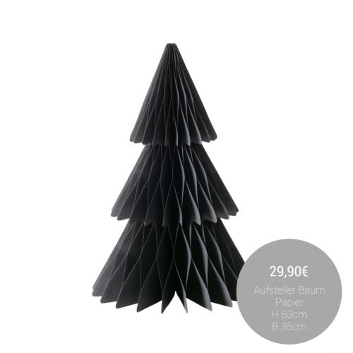 596617076_1421248003344259_5702985758179957526_n