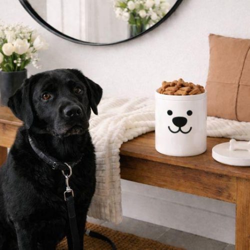 618509521_1455236666612059_3819346993995411969_n