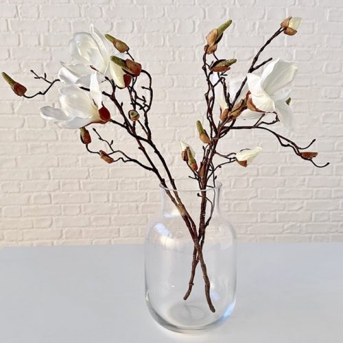 621807130_1455236496612076_4994757844671907577_n