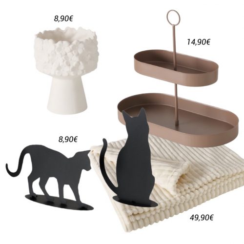 622432583_1455237453278647_8551853855386643180_n