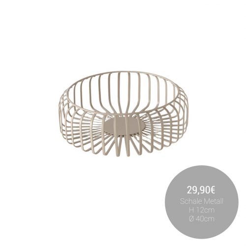 626007006_1461226126013113_6725655029579871603_n