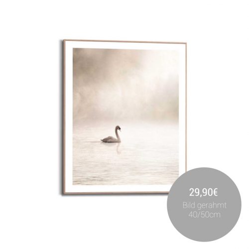 626842921_1461226062679786_1358601095897304042_n