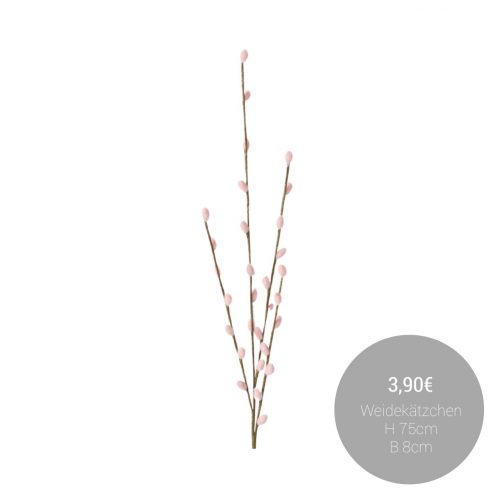 627825041_1467860182016374_7492042041076021928_n