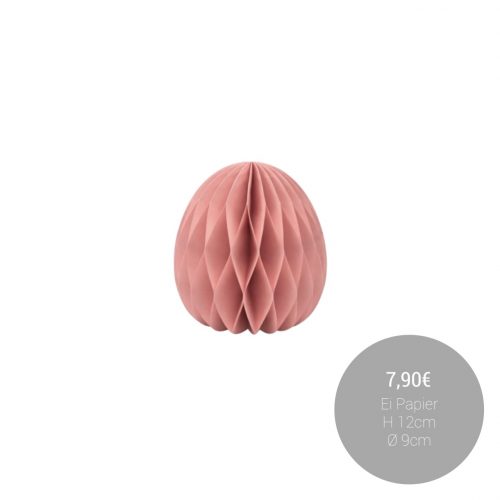 629414047_1467859795349746_8673649307031745069_n