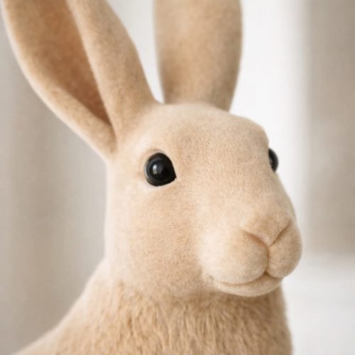 FB_IMG_1772535323924